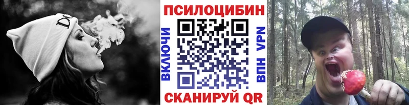 Псилоцибиновые грибы мицелий купить наркотики цена Асино